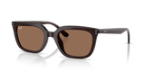 Opal Brown / Dark Brown (623173)