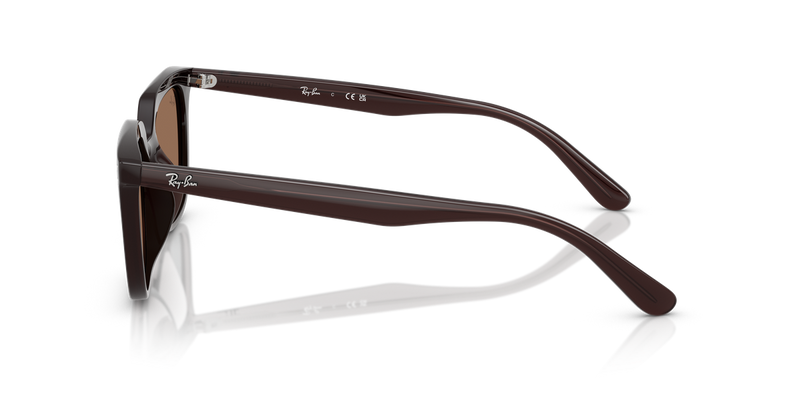 Ray-Ban RB4439D in Opal Brown / Dark Brown (623173) - Alternate View