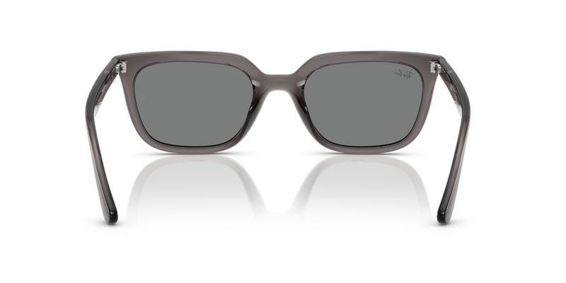 Ray-Ban RB4439D in Transparent Grey / Dark Grey (667587) - Alternate View