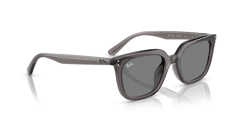 Ray-Ban RB4439D in Transparent Grey / Dark Grey (667587) - Alternate View