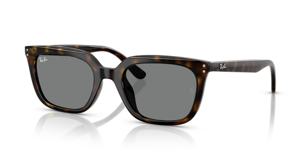 Ray-Ban RB4439D