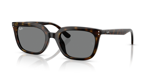 Havana / Dark Grey (710/87)