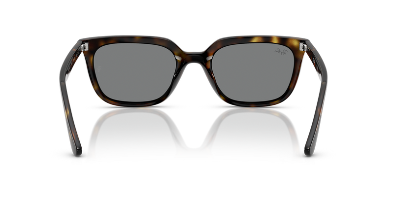 Ray-Ban RB4439D in Havana / Dark Grey (710/87) - Temple Detail