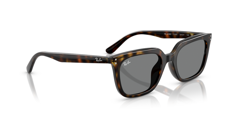 Ray-Ban RB4439D in Havana / Dark Grey (710/87) - Alternate View