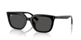 Black / Dark Grey (901/87)