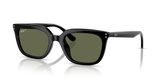 Black / Dark Green Polarized (901/9A)