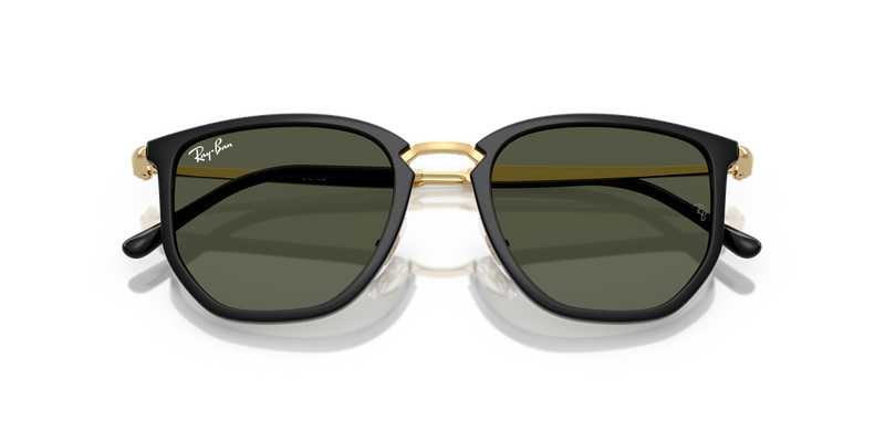 Ray-Ban RB4451 in Black - Alternate View
