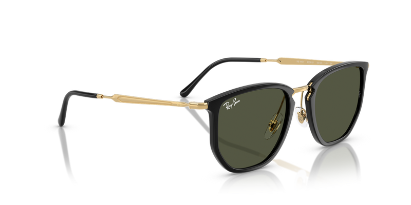 Ray-Ban RB4451 in Black - Alternate View