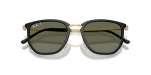 Black / Polarized Green (630658)