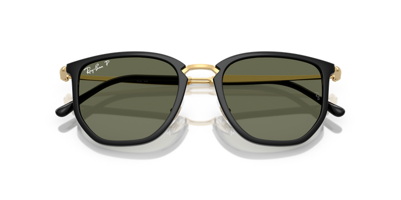 Ray-Ban RB4451 in Black - Alternate View