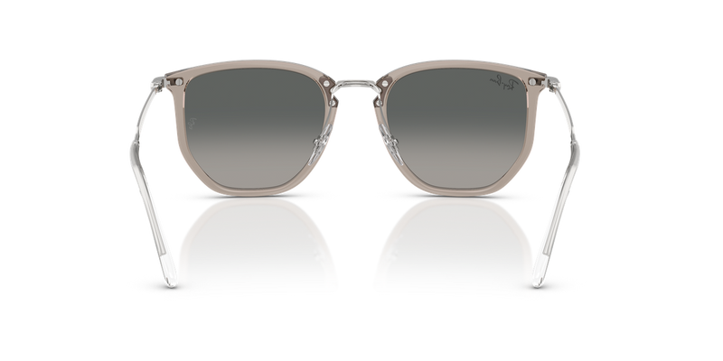 Ray-Ban RB4451 in Transparent Grey - Alternate View