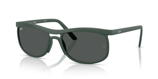 Ray-Ban RB4452