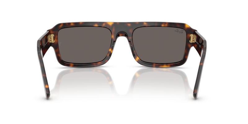 Ray-Ban FLACKO in Havana / Dark Grey (1359B1) - Alternate View