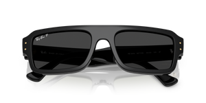 Black / Polarized Black (667748)