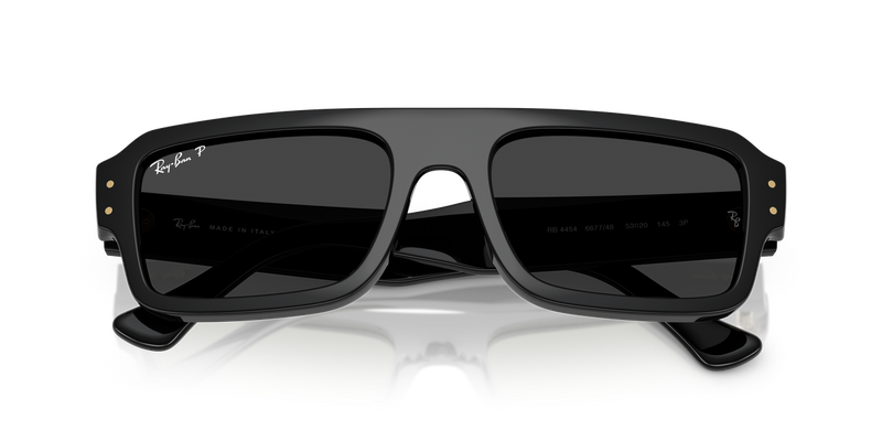Ray-Ban FLACKO in Black / Polarized Black (667748) - Alternate View