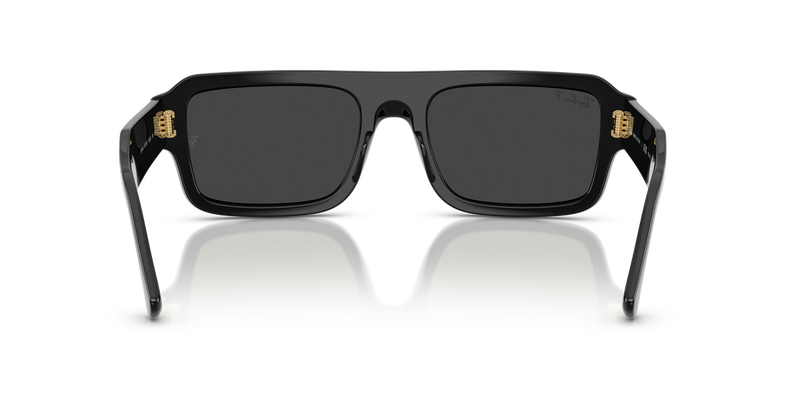 Ray-Ban FLACKO in Black / Polarized Black (667748) - Alternate View