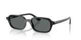 Black / Dark Grey Polarized (667781)