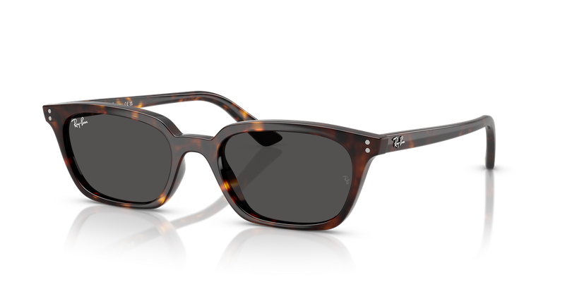 Ray-Ban ZAYA in Havana / Dark Grey (135987) - Alternate View