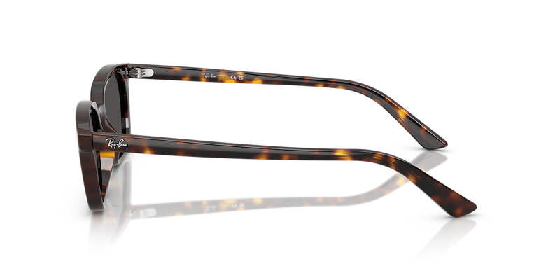 Ray-Ban ZAYA in Havana / Dark Grey (135987) - Alternate View
