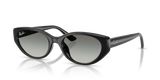 Black / Grey Gradient (667711)