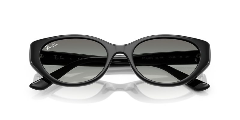 Ray-Ban RB4457D in Black / Grey Gradient (667711) - Alternate View