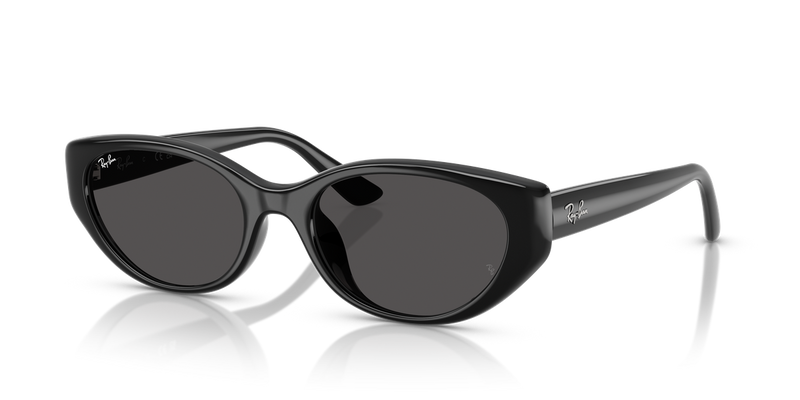Ray-Ban RB4457D in Black / Dark Grey (667787) - Alternate View