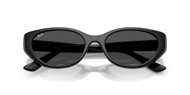 Ray-Ban RB4457D in Black / Dark Grey (667787) - Alternate View
