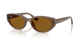 Transparent Brown / Dark Brown Polarized (677983)