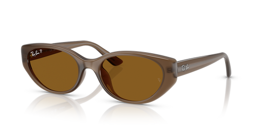 Transparent Brown / Dark Brown Polarized (677983)