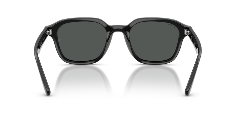 Ray-Ban RB4458D in Black / Dark Grey (601/87) - Alternate View
