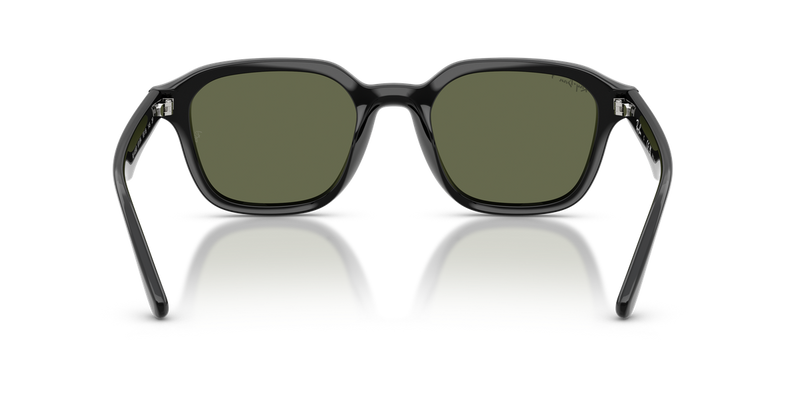 Ray-Ban RB4458D in Black / Dark Green Polarized (601/9A) - Alternate View