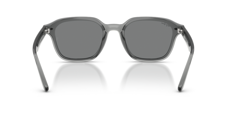 Ray-Ban RB4458D in Transparent Grey / Dark Grey (645087) - Alternate View