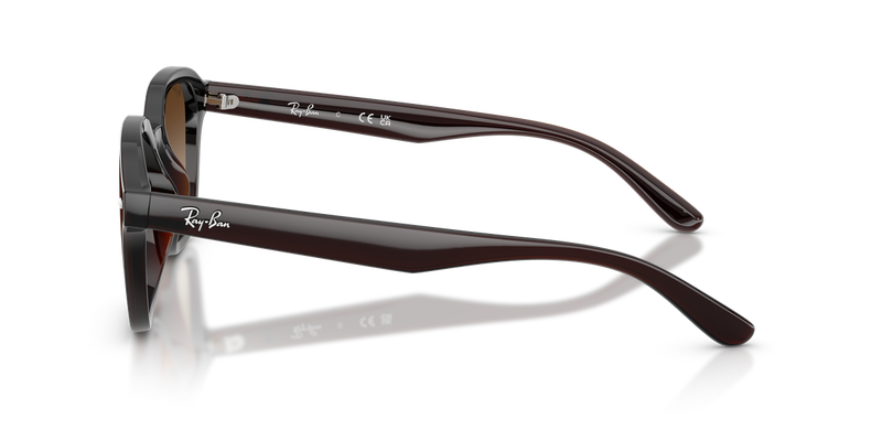 Ray-Ban RB4458D in Transparent Dark Brown / Gradient Brown (714/13) - Alternate View