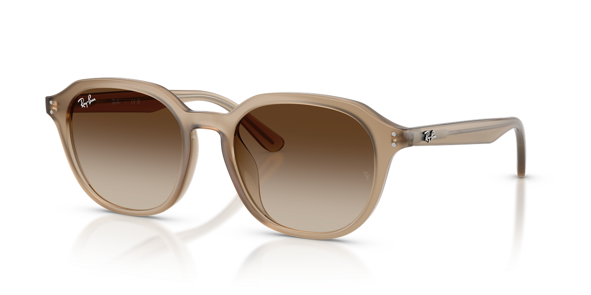 Ray-Ban RB4459D