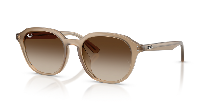 Ray-Ban RB4459D in Turtledove - Front View