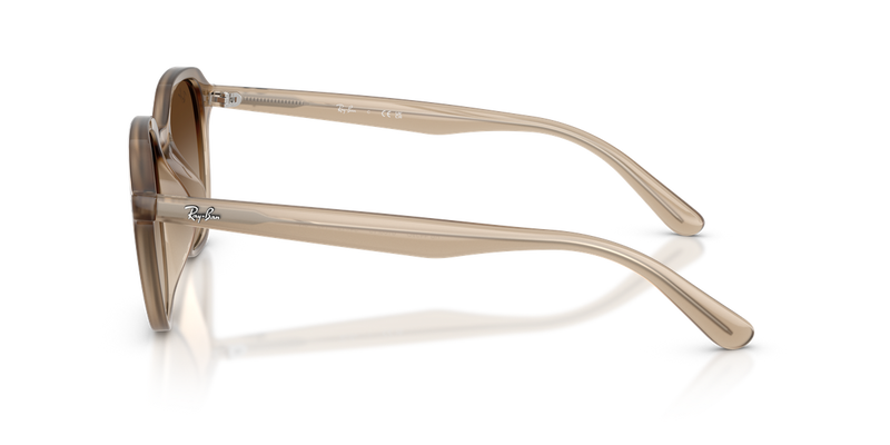Ray-Ban RB4459D in Turtledove - Back View