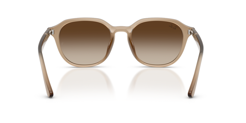 Ray-Ban RB4459D in Turtledove - Temple Detail