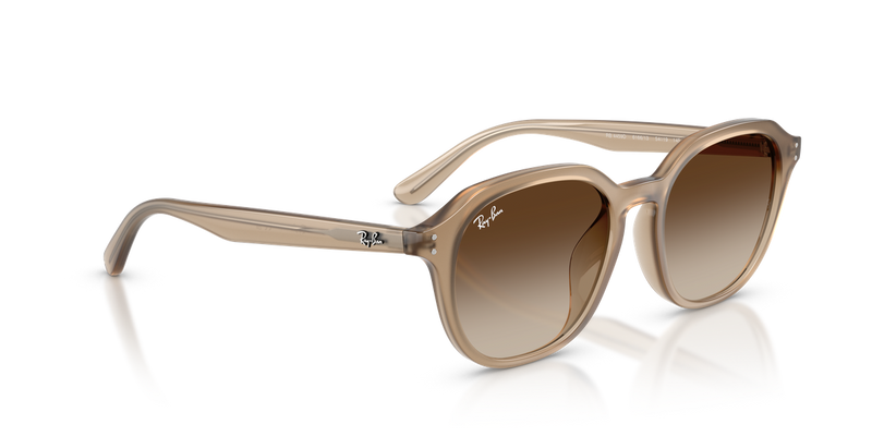 Ray-Ban RB4459D in Turtledove - Alternate View