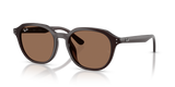 Opal Brown / Dark Brown (623173)