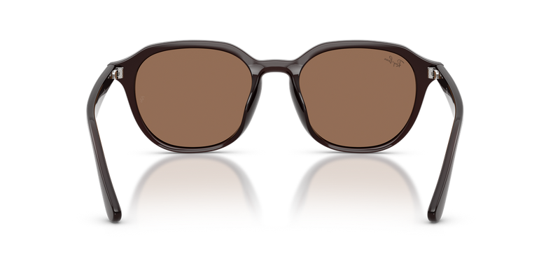 Ray-Ban RB4459D in Opal Brown - Alternate View