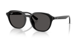 Black / Dark Grey (901/87)