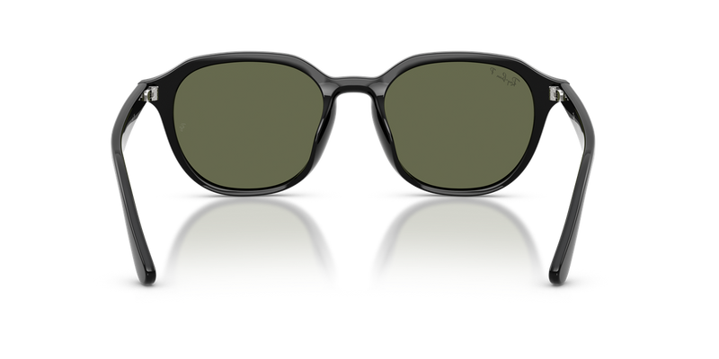 Ray-Ban RB4459D in Black - Alternate View