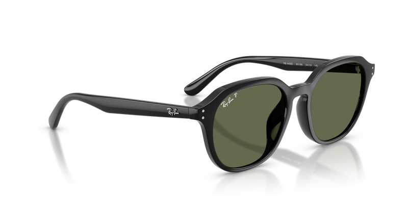 Ray-Ban RB4459D in Black - Alternate View