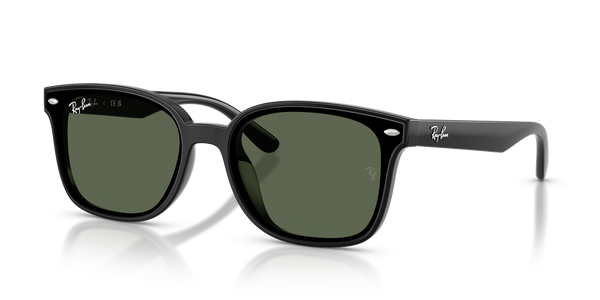 Ray-Ban RB4461D