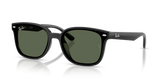 Black / Dark Green (601/71)