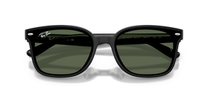 Black / Dark Green (601/71)