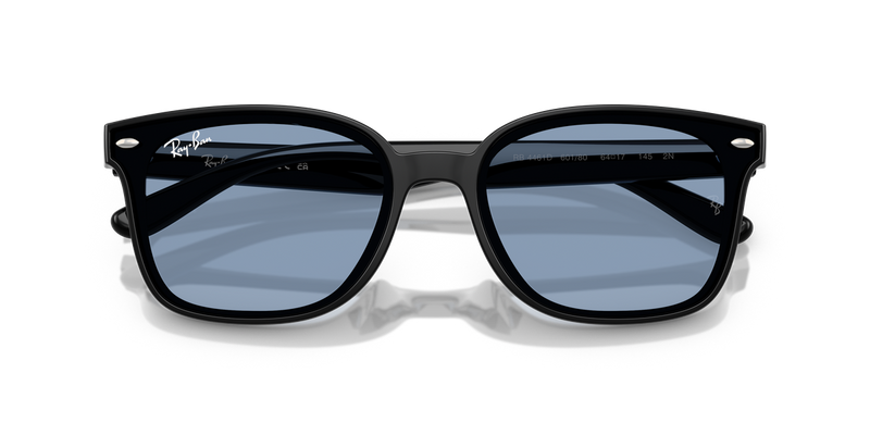Ray-Ban RB4461D in Black / Blue (601/80) - Alternate View
