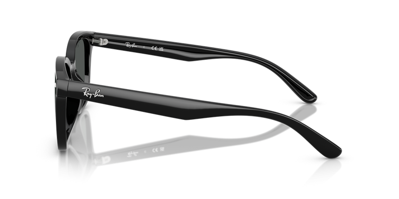 Ray-Ban RB4461D in Black / Dark Grey (601/87) - Alternate View