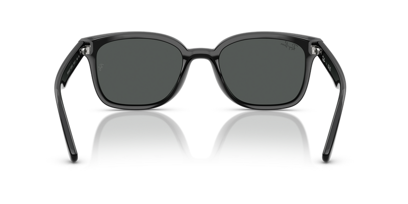 Ray-Ban RB4461D in Black / Dark Grey (601/87) - Alternate View