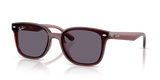 Transparent Dark Brown / Violet (659373)